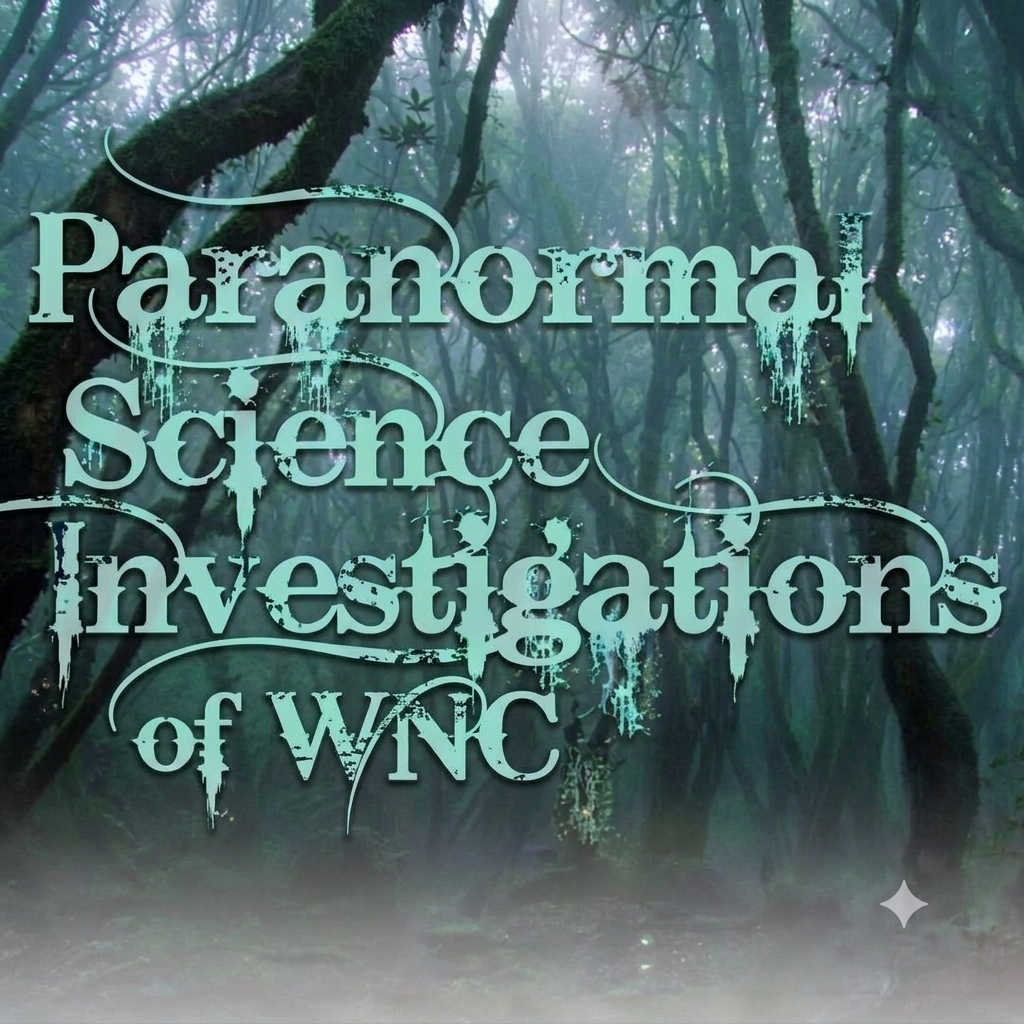 PSI of WNC logo